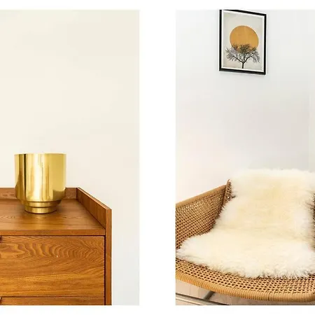 Bronze Spectrums In This Fully Renovated Flat Apartament